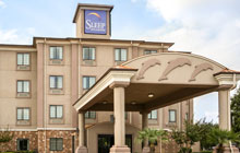 Sure Stay Plus Hotel by Best Western - King