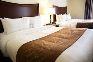 Comfort Suites San Antonio North - Stone Oak  - 1 King Bed or 2 Queen Beds with Sofa Bed - Free Breakfast & Parking
